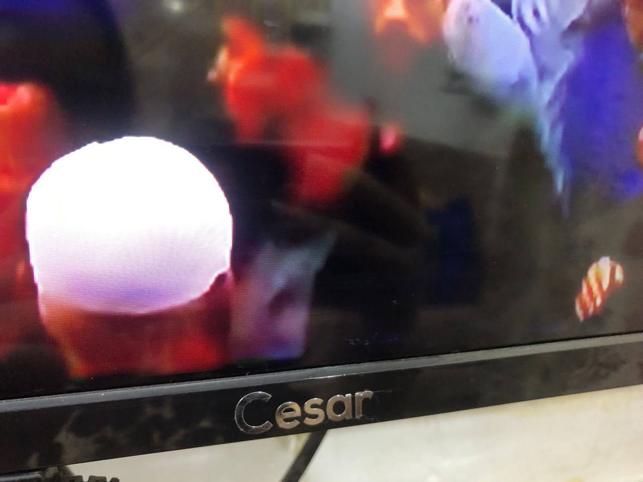 بلازما حجم 50للبيع نضيفه جدا بيها نت وتشغل كل مواقع التواصل والبرامج مكان نجف السعر 425مجالها قليل


**إذا كنت صاحب هذا الإعلان وتريد حذفه لأي سبب، رجاءا أرسل رسالة إلى الدعم الفني**