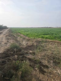 الجعارة المدائن • 2 دونم • واجهة 48م