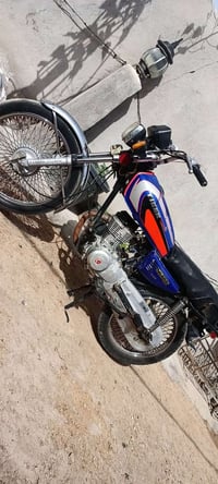 تايكر • موديل 2021 • أوراق أصولي