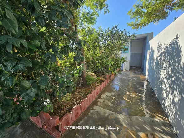 ...﷽ ...
  خانویکی شاهنە بو فروشتن
بەردەم ماڵی چول  
داری بەردار 🍊🍋🍍
حدیقەو  ئاوی ارتوازی  ئاوی بالەجوی هیە 
جیگای تایبەت  بو  پەلەور🦃🐓
خانوكه پیکهاتوە 🏡
هول 
2 ژوری نوستن
ژوری  میوان  مەتبغ 
موشتملات  
ئاو كارباى تايبةتى خوى هةية 
ناونیشان  سالح ئاغا     🏙🏙
مساحة 12×32= 384   متر
نەرخ 5  دفترو 25گەلاو    معاملە💵
بو کرینو فروشتنی خانو  باخ زوی 
پیوندی بەم ژمارەوە  بەکەن📢📢
***********  یوسف  ☎️☎️

https://www.facebook.com/profile.php?id=100083460334231&mibextid=ZbWKwL
