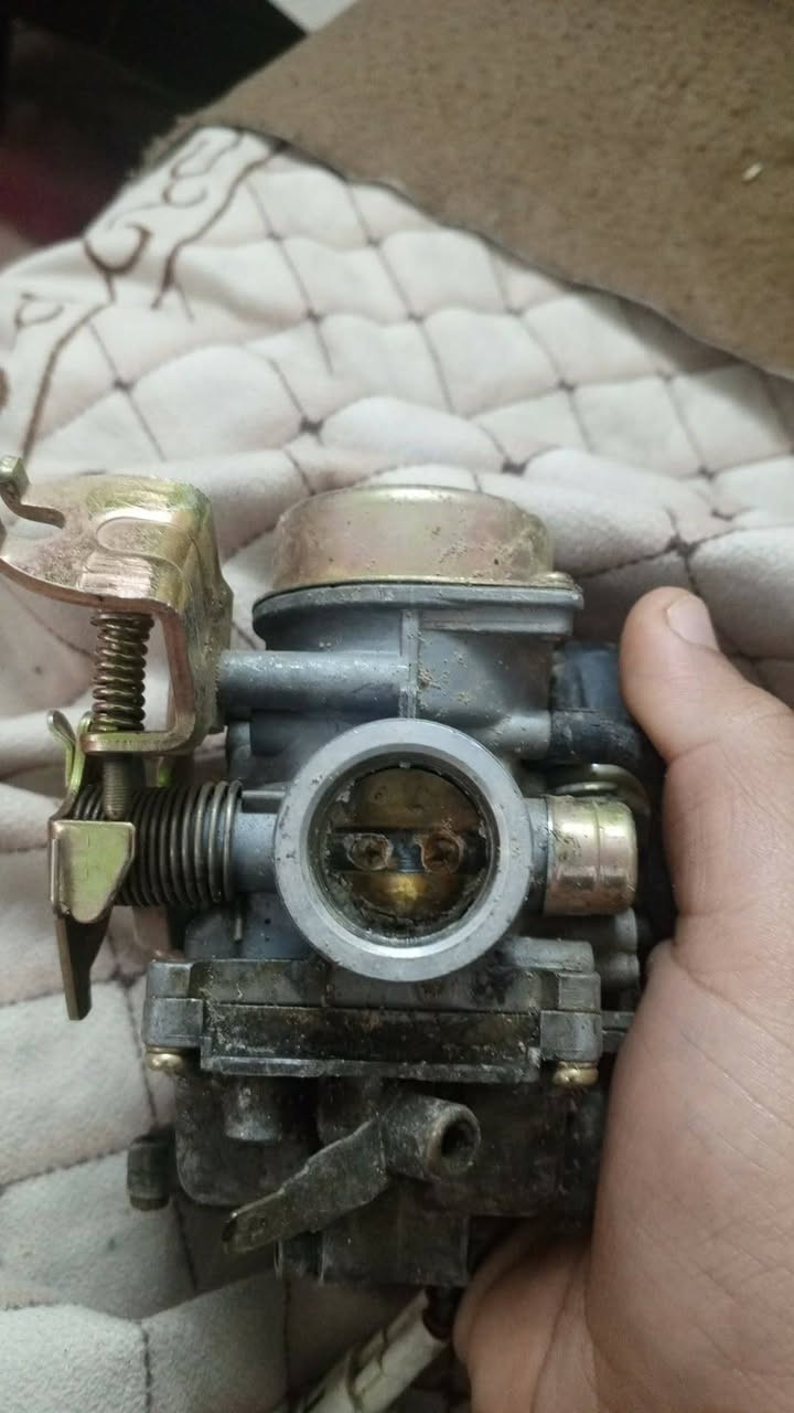 كابريتر سكنس فحل واحد اصلي والثاني تجاري للبيع مكاني بغداد بلديات مو شراي لا تتعبني رجائا


**إذا كنت صاحب هذا الإعلان وتريد حذفه لأي سبب، رجاءا أرسل رسالة إلى الدعم الفني**