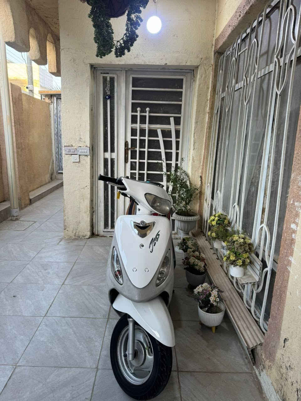 ماكس منغولي بلاد بوشه49 دراجة خير من الله معدل وشلعه مكفولة من النقص فقط السلف مبدل ما مفتوحة دراجه تجي وتشوف السعرر 650 وبيها مجال مكاني كربلاء وبيها وصل معرض


**إذا كنت صاحب هذا الإعلان وتريد حذفه لأي سبب، رجاءا أرسل رسالة إلى الدعم الفني**