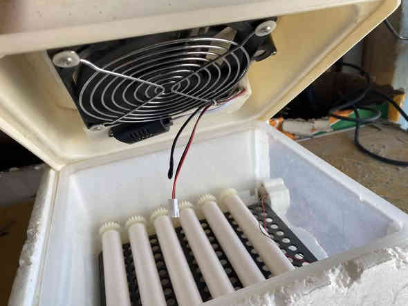 السلام عليكم فقاسه للبيع
حراره ورطوبه اوتماتيك
تقليب اوتماتيك
فلاش لفحص لبيض
سعة من20بيضه الى 15بيضه
ومجربه ولاتسحب كهرباء هواي
السعر35 
***********
