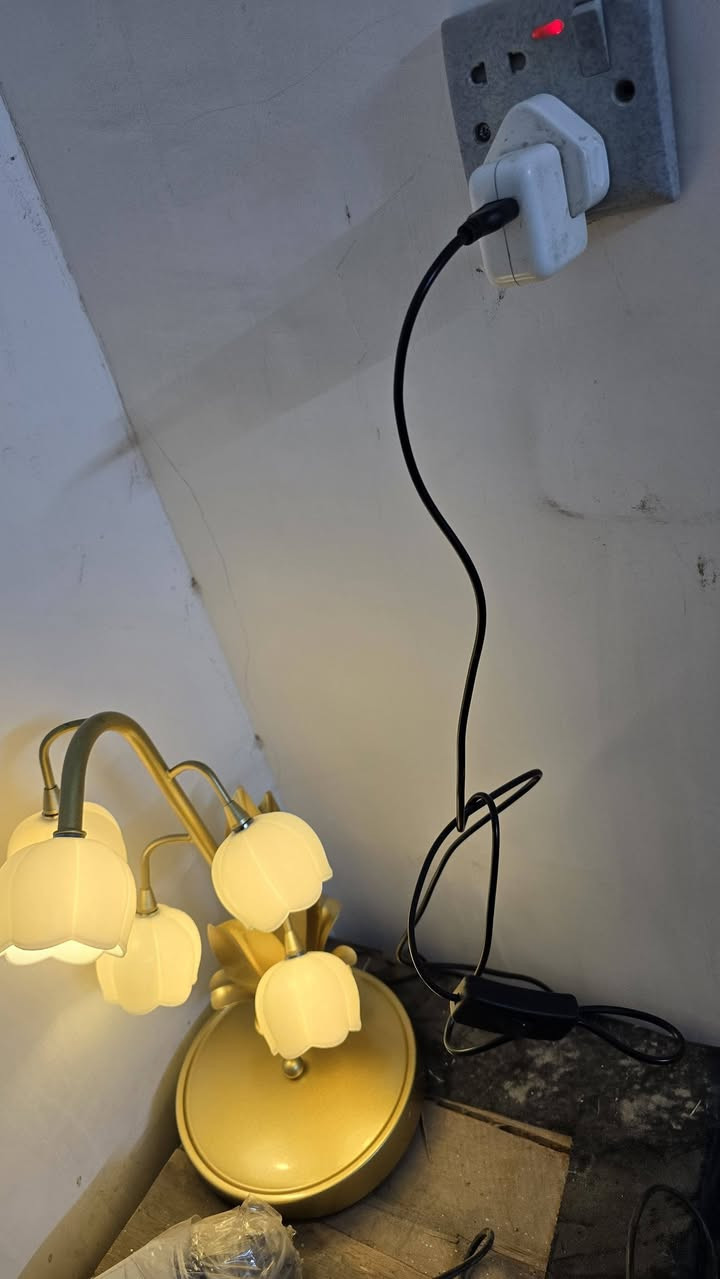 ب١٥ مع التوصيل


**إذا كنت صاحب هذا الإعلان وتريد حذفه لأي سبب، رجاءا أرسل رسالة إلى الدعم الفني**