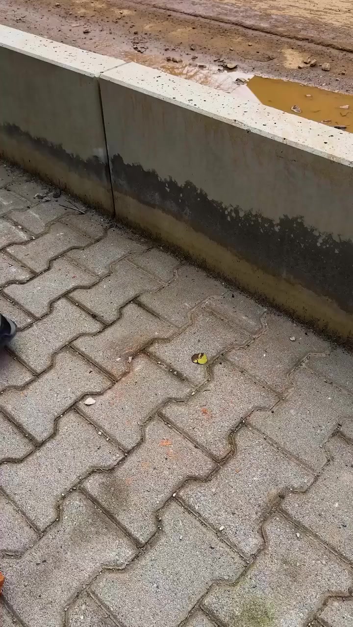 موقد طوب منزلي الصنع 🔥
 @أبرز المعجبين من بغداد العراقيين شعب العجائب


**إذا كنت صاحب هذا الإعلان وتريد حذفه لأي سبب، رجاءا أرسل رسالة إلى الدعم الفني**