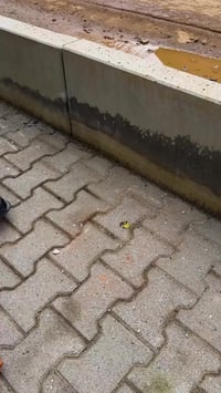 موقد طوب • منزلي الصنع • بغداد