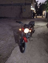 بوكسر • اوراق • ناقصه