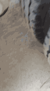 عربانه دار القصاب
ذرعه 27 ونص
للاستفسار ***********
