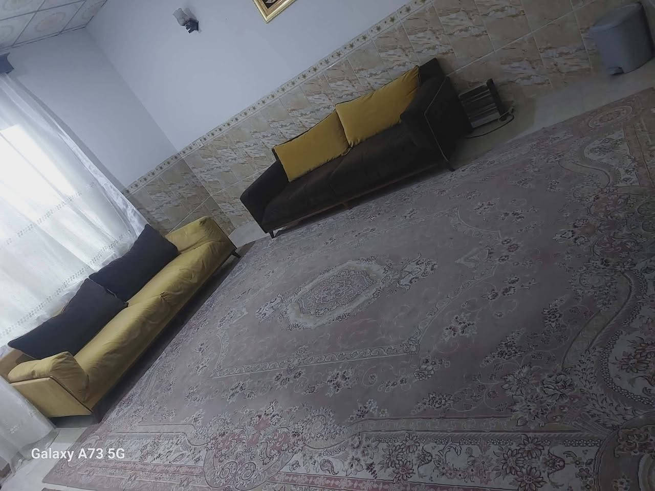 زوليه إيراني ايراني ١٢٠٠ شانه بدون عيب سعرها ١٠٠ وقنفات ب٢٢٥.  ٦ نفرات تركي مكانهم اربيل لتواصل خاص


**إذا كنت صاحب هذا الإعلان وتريد حذفه لأي سبب، رجاءا أرسل رسالة إلى الدعم الفني**