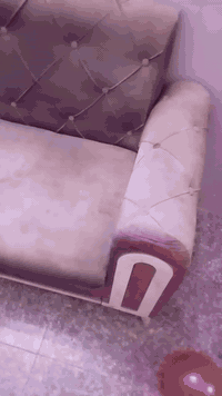 سلام عليكم تخم 8مقاعد عايزه بس غسله اي ظرر مابي مكاني بغداد غزاليه ***********
