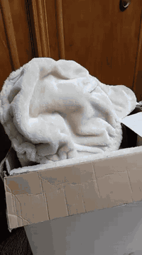 بيت للقطط فرو ناعم وجميل وزن ثقيل جديد بضاعة امزون لطيف جدا ممكن يصلح ...