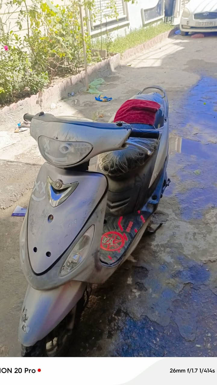 ماكس منغولي نقوصات بس كفر كدم شوي تعبان بس مختم ويا المكينه بلادي مامفتوح شرط الفحص يم اي فيتر بلادي 49كامل مكمله فول مكاني كربلاء حولي أبو مهدي مهندس سعر450بيه مجال الشري رقمي وتساب ***********
