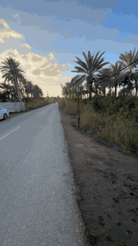 ***********  #الدليل_العقاري_موسئ_الشجيري  #دوانم  #عقارات_بغداد  #بغداد  #عرب_جبور_جنوب_بغداد
