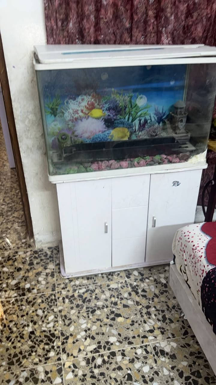 للبيع أعلى سعر ابيع مكاني زعفرانيه بغداد


**إذا كنت صاحب هذا الإعلان وتريد حذفه لأي سبب، رجاءا أرسل رسالة إلى الدعم الفني**