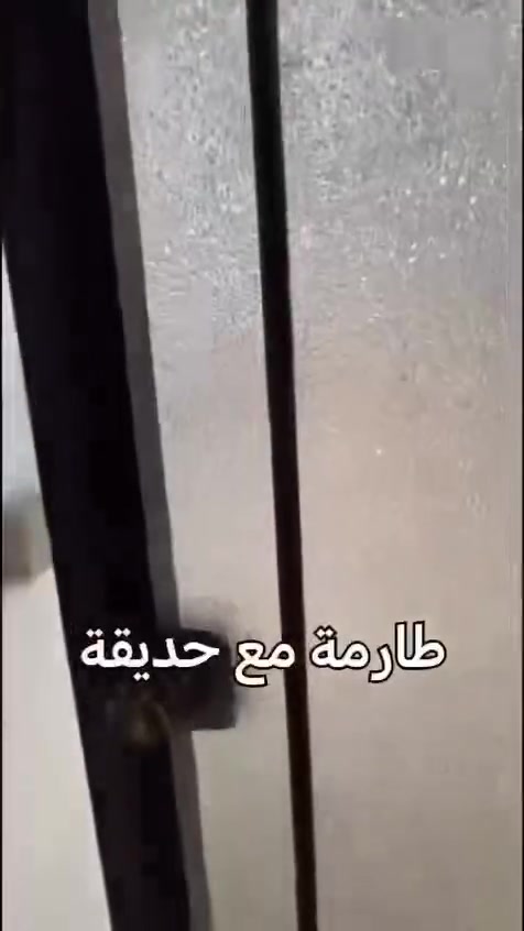 للايجار بيت ارضي جديد مساحة 200م (في منطقة يس خريبط -شارع السناتر  -فرع مطعم ابو شهد)
بناء درجة اولى يحتوي على 2 غرف نوم كبيره -
استقبال -غرفة معيشه -مطبخ بارد -مطبخ حار -2منور _3 صحيات -غرفة غسيل ملابس 
البيت مجهز ب سخان  كبير -2 تانكي ماء كبير RO واساله -2مراوح _ماطور ماء مع بوستر -جبسن بورد وديكورات مع اناره حديثه -سعر الايجار 1 مليون قفل 
للتواصل ***********
