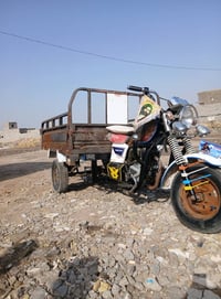 ستوته دايون • موديل 2013 • أوراق اصولي