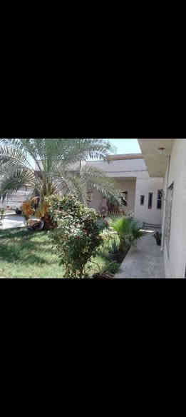 بيت لبيع طابو ملك صرف مساحته لبيت 500 متر لبيت يحتوي على 4 غرف نوم ومطبخ وهول وحمام  داخلي وستغبال خارجي وصحيات خارجيه لعنوان لجعاره يم لغابات مغابيل لمطاعم مغابيل مطعم حجي زوين ومطعم كرم المداءن يبعد عن لشارع لعام 100 لسعر 400 وبي مجال هاذ رقمي بي واتساب ***********
