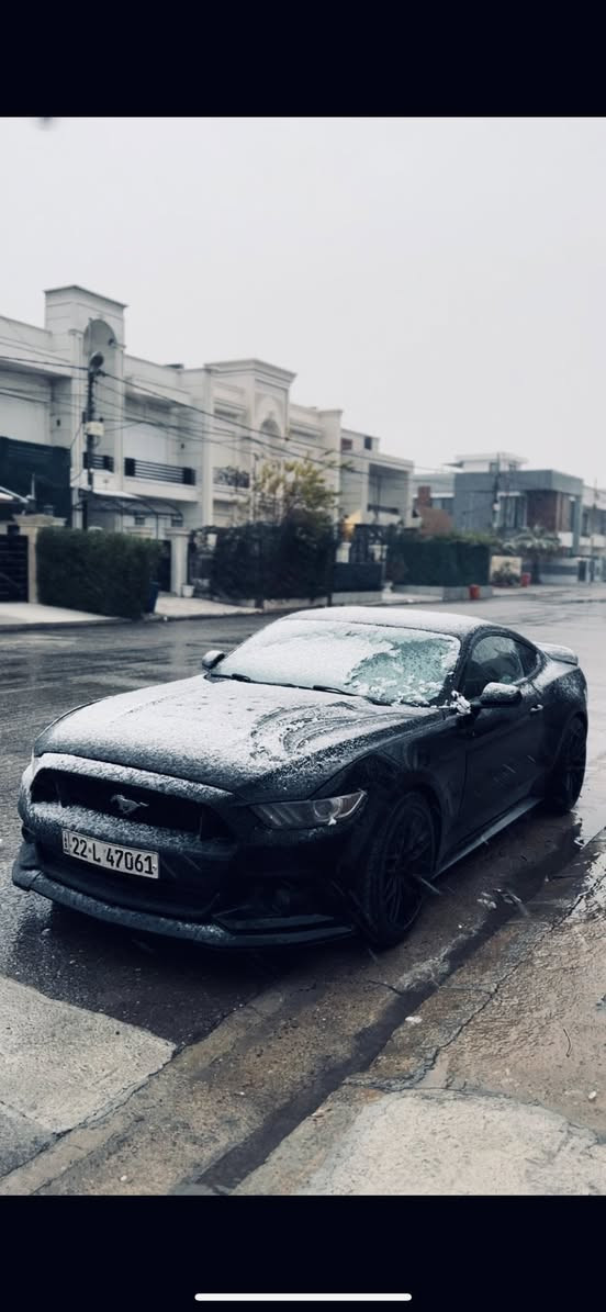 السلام عليكم
موستنك 2016  V6 
مواصفات الـ6 معروفة 
قطع صبغ جاملغين امامي وبونيد مبدلات وصابغهم جديد
كير مكينة شرط 

باسمي سيارة 
السعر 135
مكاني اربيل 
***********
