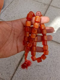 سندلوس • صدف • الماني