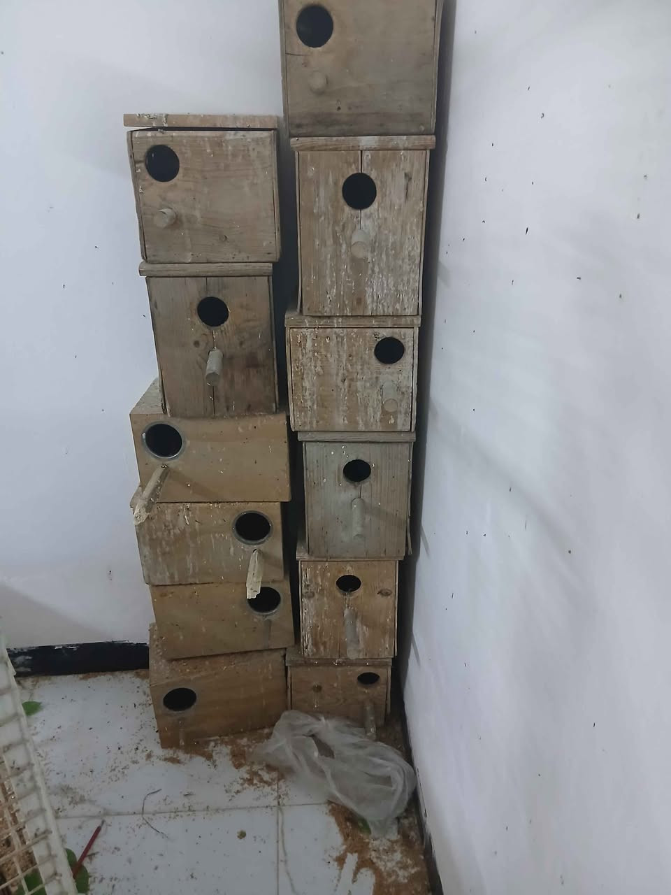 قفص حديد مال كوكتيل ي شي يرحم كبير سعر 100الف موجود في منطقه حي جهاد مخابرات بغداد, العراق


**إذا كنت صاحب هذا الإعلان وتريد حذفه لأي سبب، رجاءا أرسل رسالة إلى الدعم الفني**