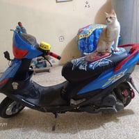 ماكس عدله • نضافه • سلف مايشتغل