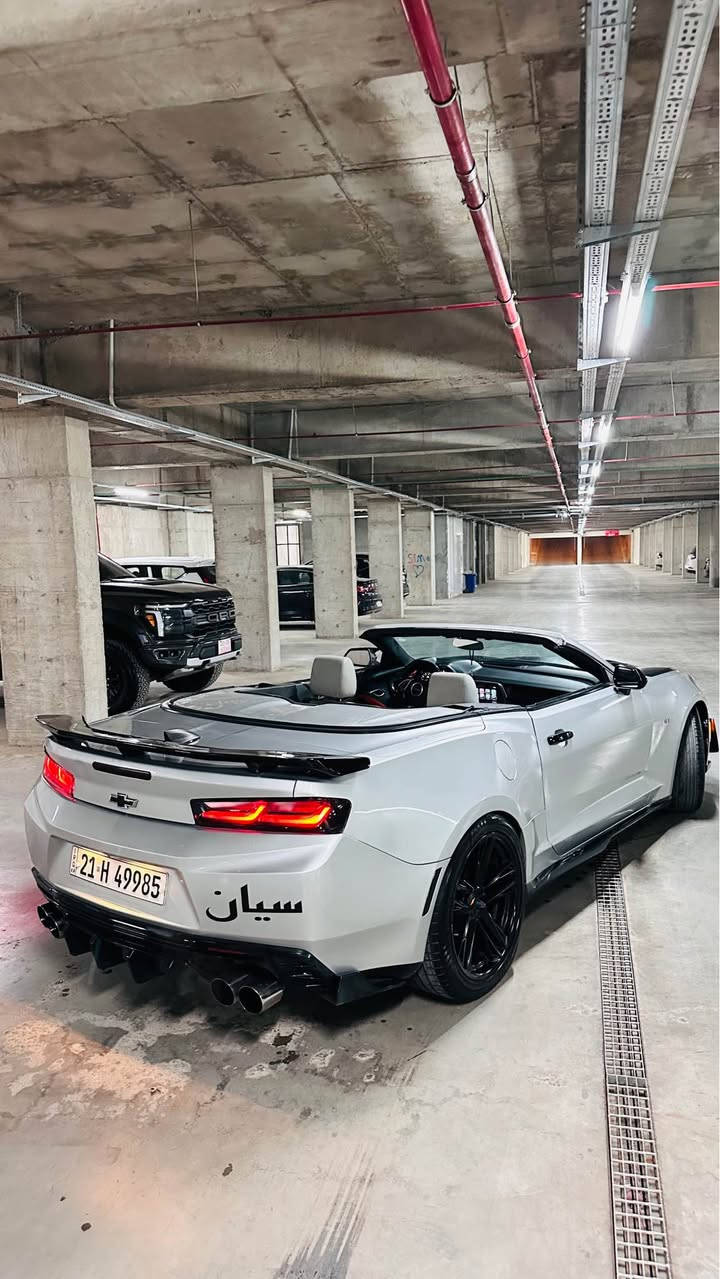 سلام عليكم كمارو اس اس ٦.٢ 🚀 ثمانية سلندر  مواسفات فول گير محرك اكسل بشرت كفالة عامة  سيارة بيها ٢ قتعة چاملغ سايق و جاملغ خلفي سايق بدون دواخل بدون ارباك ماشي ٧٠ مايل رقم هزة سنوية جديد تحويل وكالة بشرت  سيارة مابيها ربع مصرف كلشي جديد كشف بشرت 
سعرها ١٥٠ بيها مجال 
*********** أربيل, العراق
