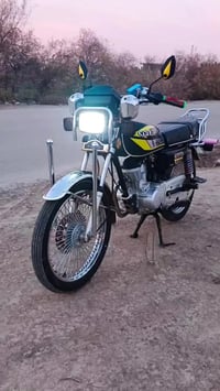 تايجر • ٢٠٢٤ • الحمزه الغربي