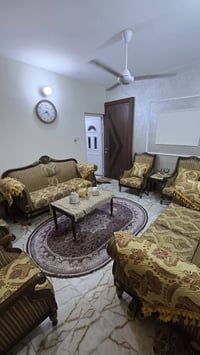 تخم كامل للبيع كلش نظيف مكاني بغداد السيدية للاستفسار ع التفاصيل واتسا...