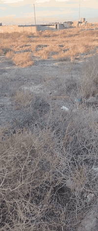 قطعه 200 للبيع في الشطره قريبه على الملعب الدولي ركن ***********
