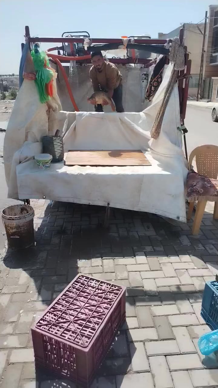 سمك عراقي سعر الكيلو ٥٠٠٠
نزلة جسر كراره
***********
