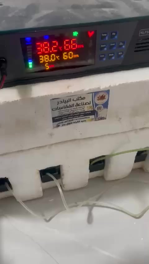 مكتب البيادر البصره القرنه 🦃🐣🐓🐔🔥
يوجد كافه فقاسات الدجاج وشرط الضمان الصيانه والتفقيس أقوى فقاسات متوفره 🐣🐤 اتصل عرقم وتدلل ***********
يوجد توصيل
