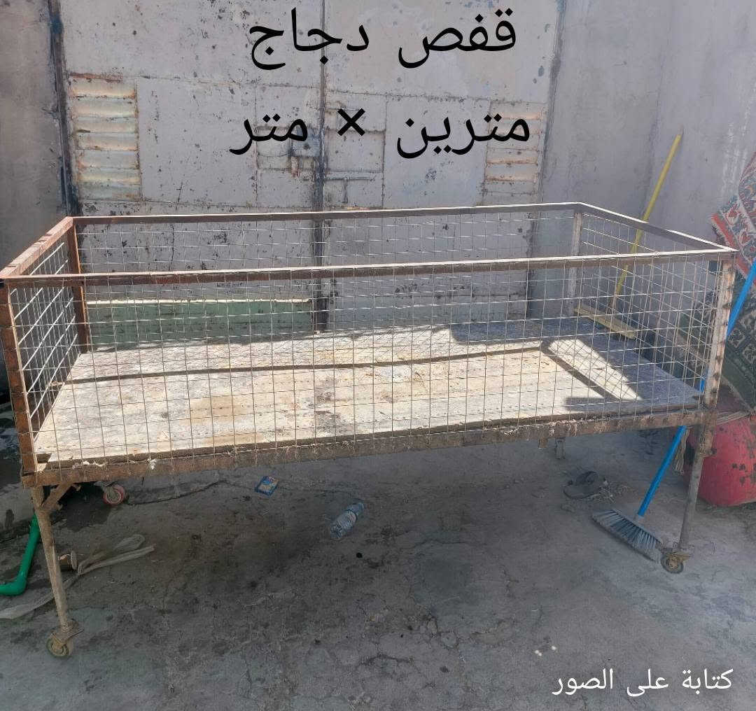 رقم 0789786451


**إذا كنت صاحب هذا الإعلان وتريد حذفه لأي سبب، رجاءا أرسل رسالة إلى الدعم الفني**