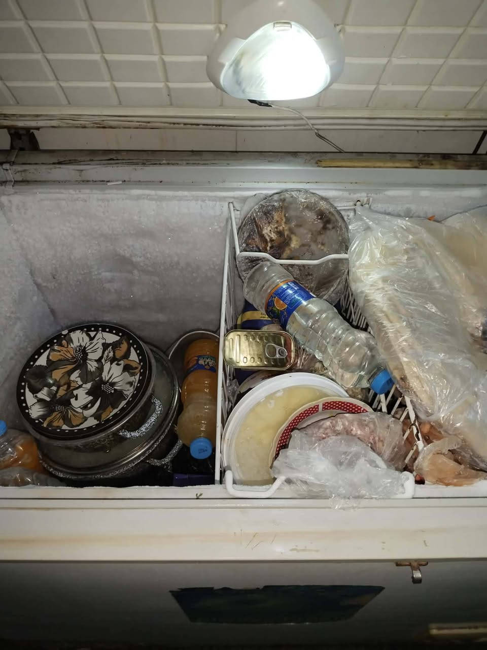 مجمده شرط التجميد شوفت عينك سعرها200كاونتر جديد شرط شهر، مستعمل مع سنك مرمر متر ونص سعره 170تخم شرط جديد عشر مقاعد سعره 225 المكان سوق العرب مدرسه ميسلون للتواصل وااتساب اواتصل ***********
