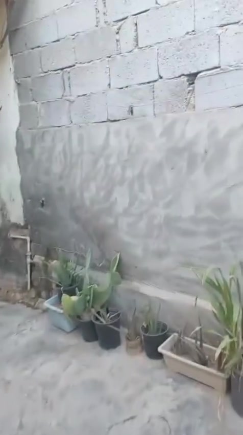 يعلن مكتب كرار اليساري عن وجود بيت للبيع مساحه ٢٠٠ متر، مشتمل معزول وحده والباقي بيت سكن على الساحه كما هو موضح في ناحيه الحر الكابينات السعر ١٧٠ مليون قابل للتفاوض للإستفسار على الهاتف *********** (بيع مستعجل)
