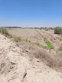 ٣ ونص دونم • واقع ٢ دونم • طريق الدغاره