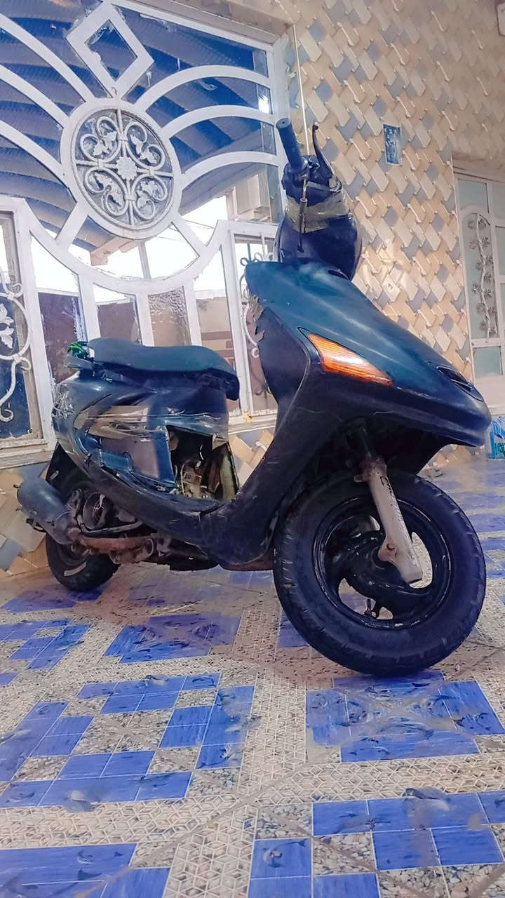 سلام عليكم درجة فراشه فحل للبيع بس خيط بخار بيها مكان ديوانيه رقم تليفون ***********
