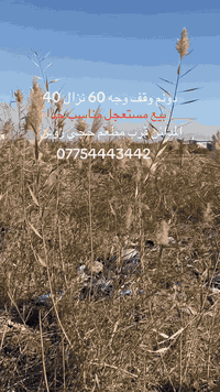 المدائن • ٢٤٠٠م • بيع مستعجل