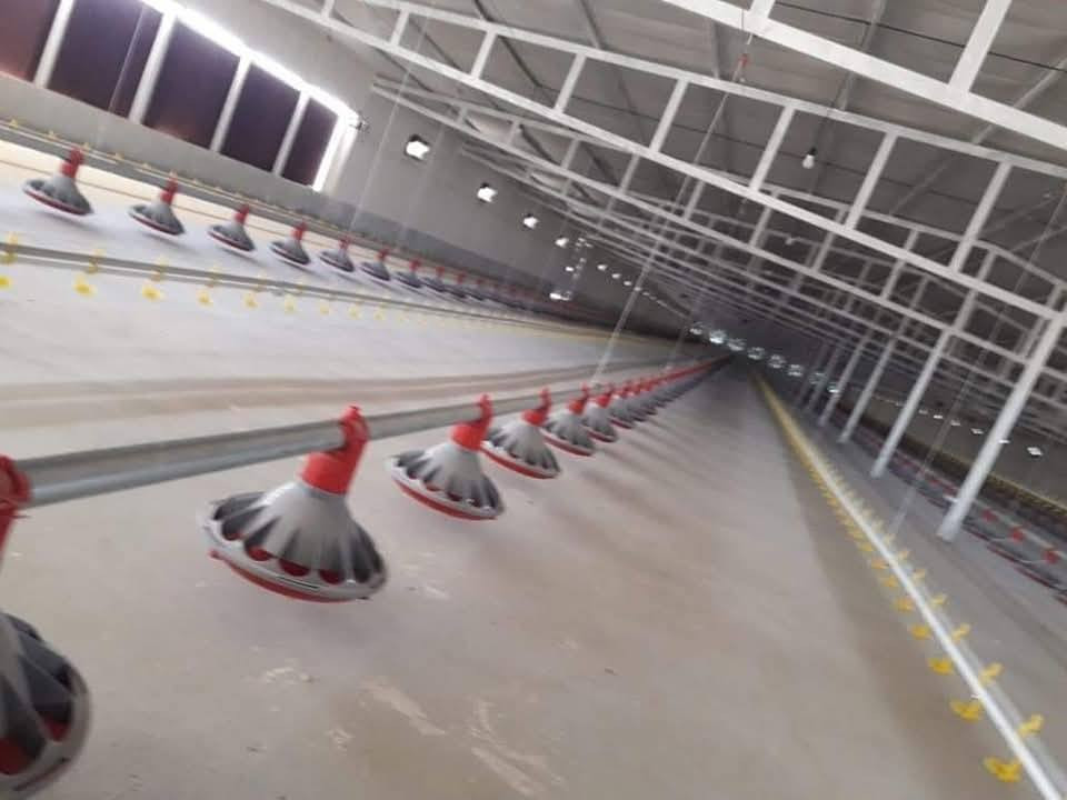 مكلف بالنشر
سلام عليكم اخوني تجهيز جملونات وحقول دواجن في كل المحافظات مع كادر عمل
‏‪***********‬‏ حسين ابو علي ايراني
