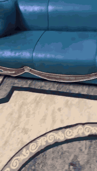 سلام عليكم عندي تخم رءاسي نضيف السعر 700وبي مجال بصيط 
***********
