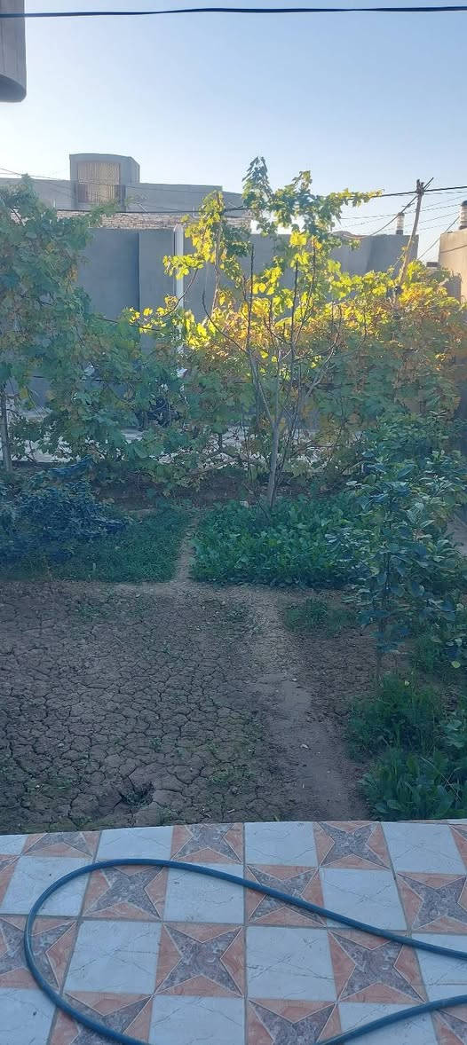 السلام عليكم بيت طابو زراعي سند 25
طريق الديوانية دغارة مساحة 300 متر يبعد عن الشارع العام 80 متر الاتصال  ***********
