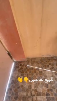 باسكل • بلايسون • عجلات ٢٦