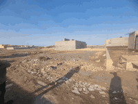 سلام عليكم قطعتين بالكوت طابو سند ٢٥  كل قطعه ٢٠٠ اب ٢٠٠  متر وحده ابضهر الثانيه على شارعين   ابحي الحكيم ابشارع التمايمه ابضهر ابيوت النازحين  وحده بيه بتلو كامل او وحده قطعه فارغع السعر القطعه الوحده البدون بتلو ٨  مليون والثانيه ام البتلو اب١٠   او بيه مجال قليلل
الاستفسار اتصل على الرقم ***********
