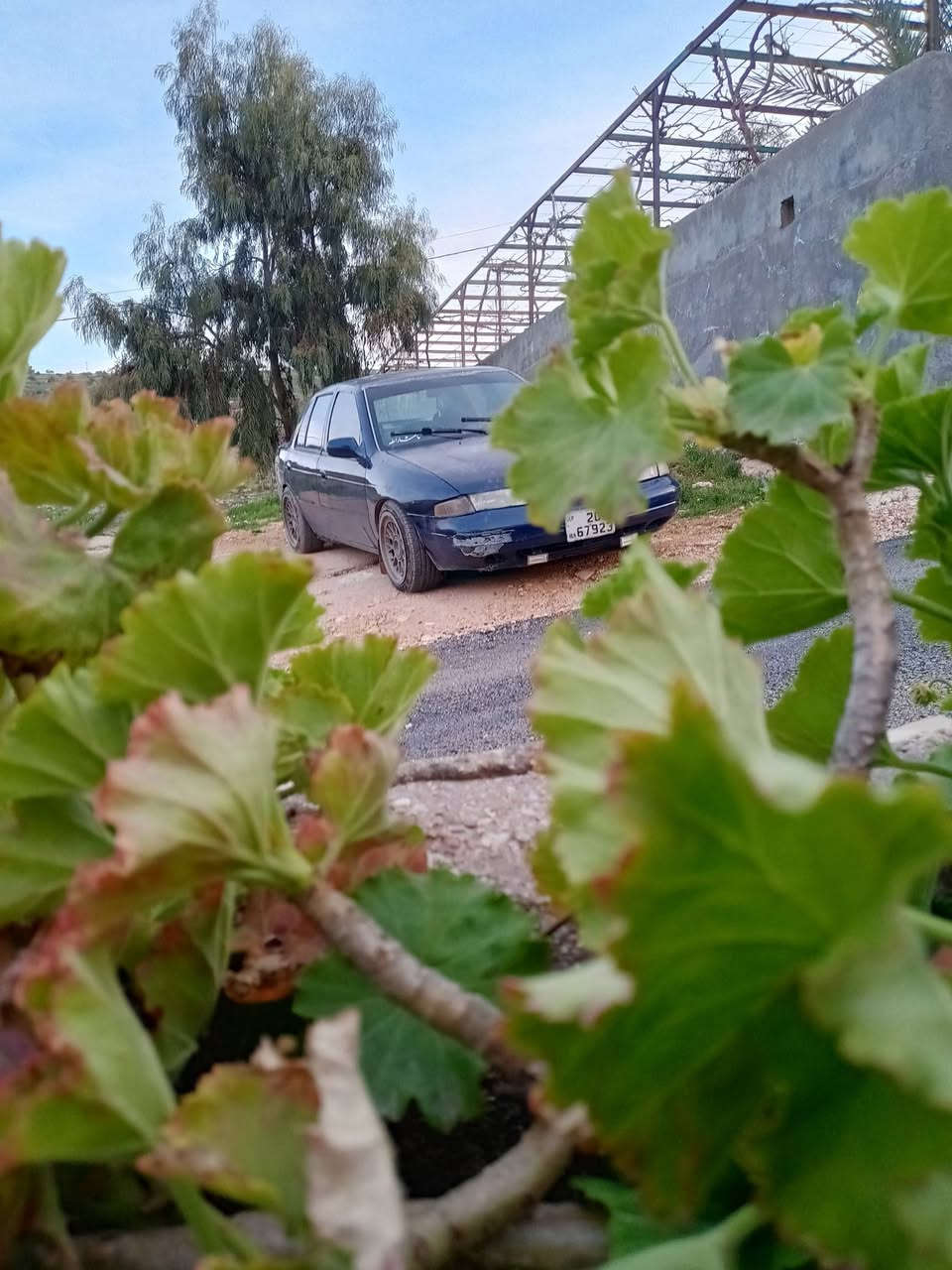 كيا البيع سعر حرق.  0791062554

......


**إذا كنت صاحب هذا الإعلان وتريد حذفه لأي سبب، رجاءا أرسل رسالة إلى الدعم الفني**