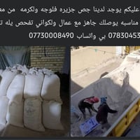 يوجد لدينا جص الفلوجة والكرمه الجزيره جص عل فحص كلبي 07830453965 واتسا...