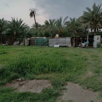 قطعه وبستان 1000متر طريق اولاد مسلم (ع) قريبه على شارع العام تبعد عن ا...