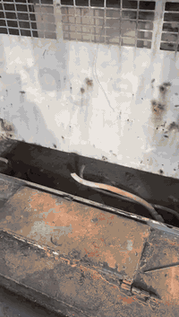 السلام عليكم سكانيا بومه ١٢٤ كاتم ياباني +رأس توليد ياباني بلاد ٢٢٠ كي في مولده حلوه حيل نضيفه والكاتم ياباني بلاد هوا وراس التوليد  شغل كلش مرتب سعر ٨٥ وبي مجال للطيبين عنوان بغداد ***********
