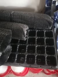 أقراص شتول • أطباق شتول • جملة ومفرد