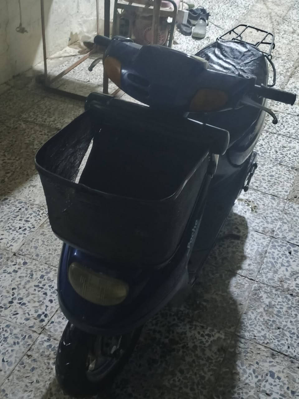 منغولي ام السله للبيع ***********
