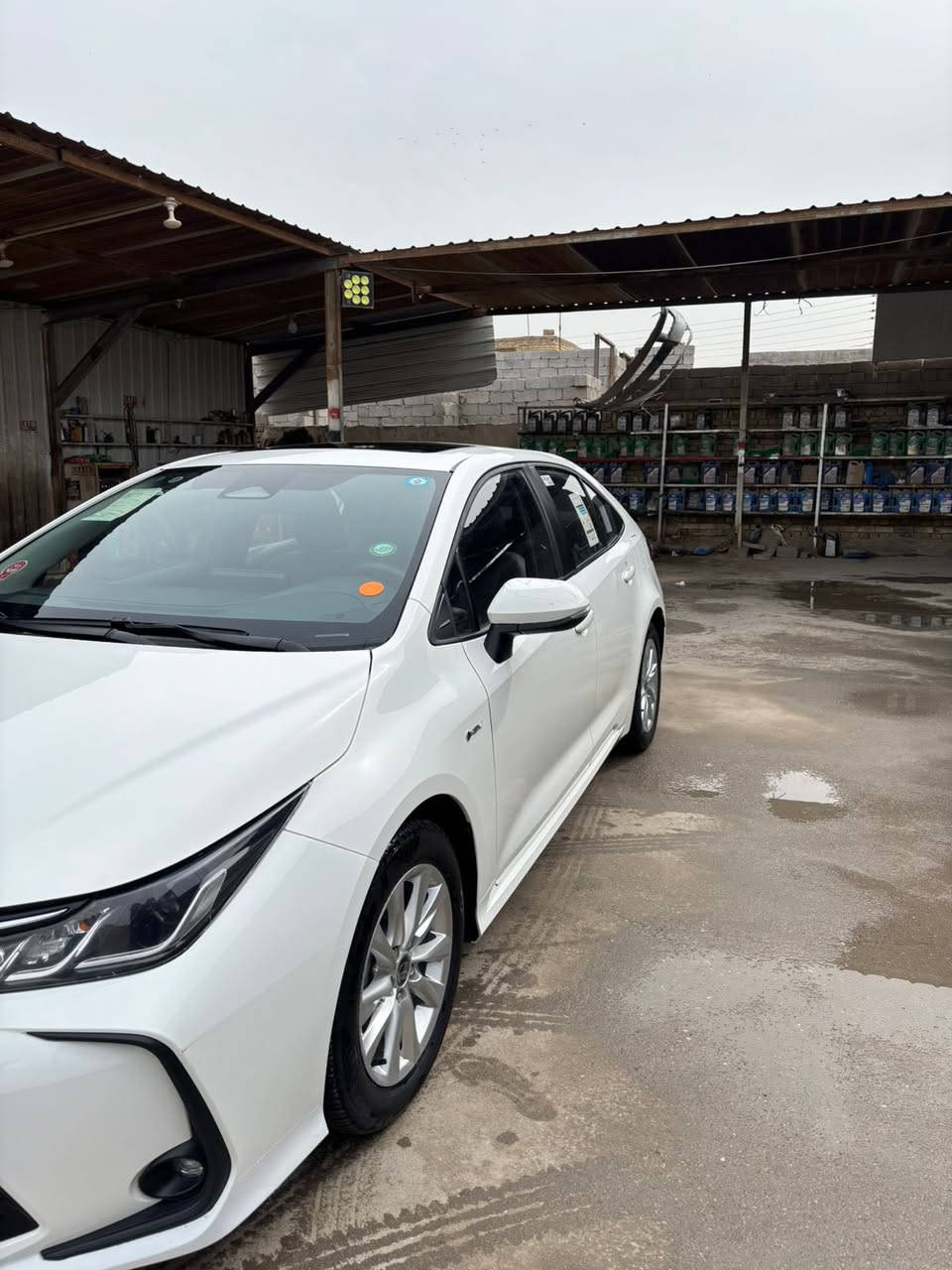 سلام عليكم كورلا هايبردشكل لخليجي سياره فول كفاله عامه موديل24جديد كلش ماشيه 20حره بغداد بيه رصعه بل باب موضحه بل صوره سعر147 بيه شي قليل مكان ناصريه رقم***********
