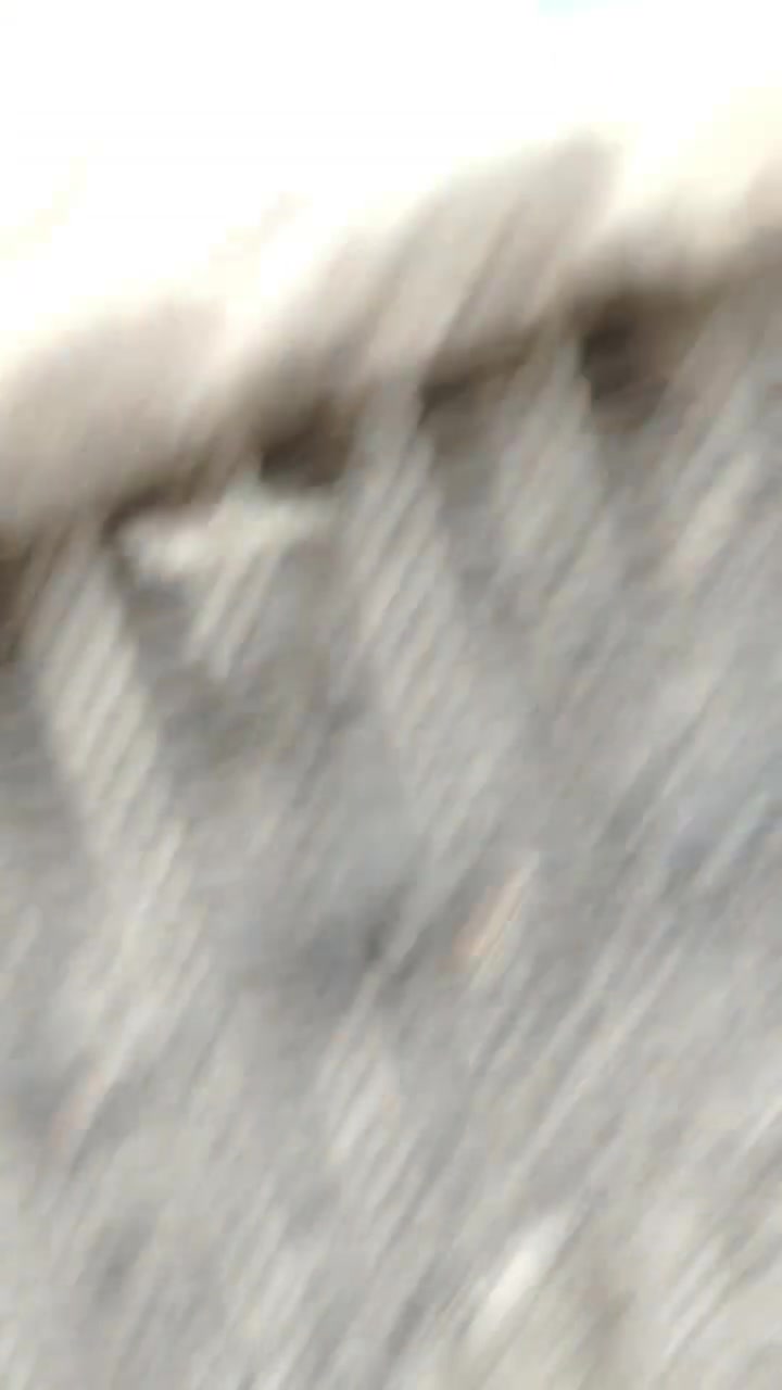 ***********
